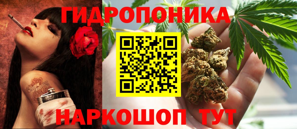Обь  Конопля ГИДРОПОН  Конопля индика  Вход с VPN 